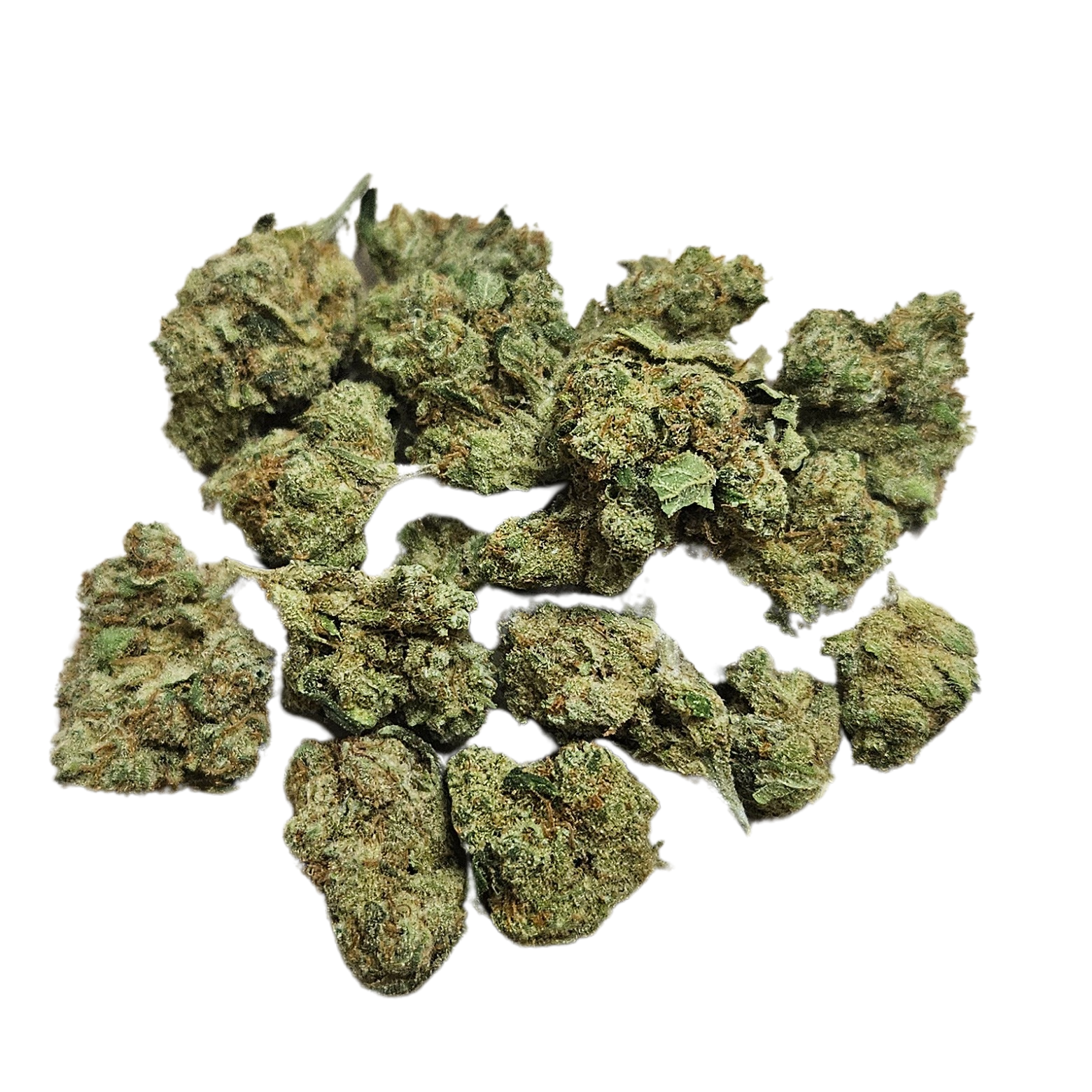 Fleurs CBD Amnésia haze hydro small bud