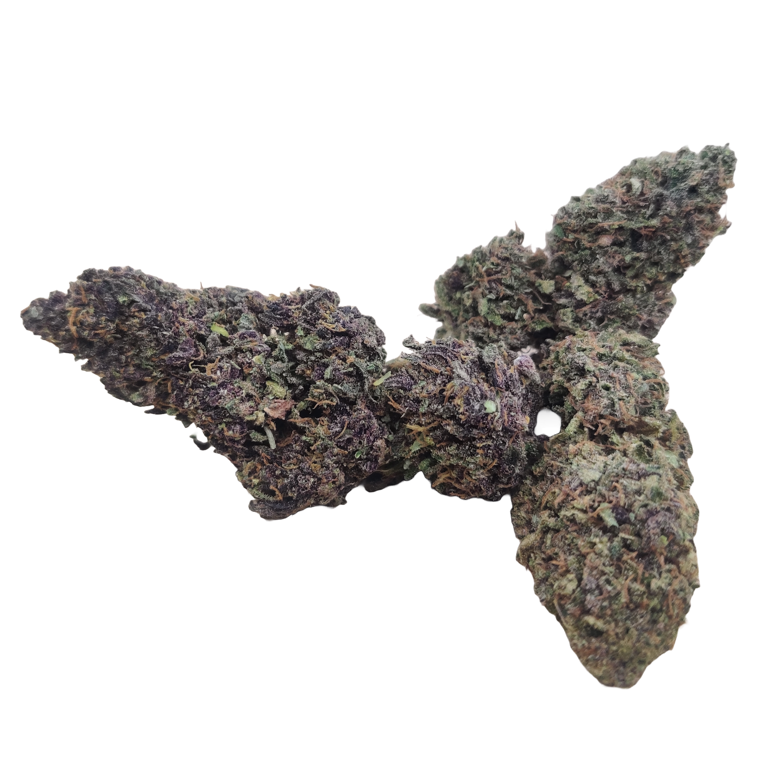 Fleurs CBD Orange Fritter