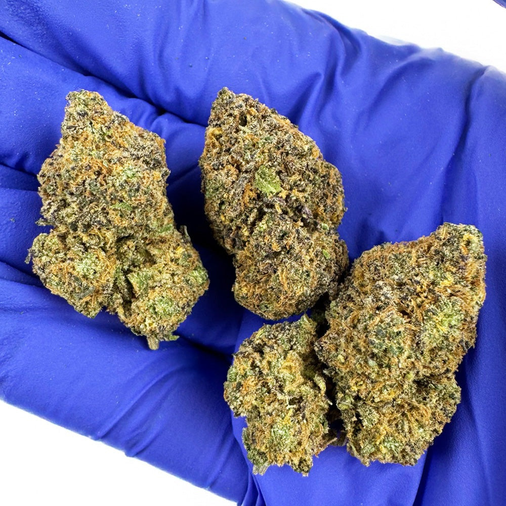 đź’śâ›˝ Fleurs CBD Purple Gaz Medium Bud