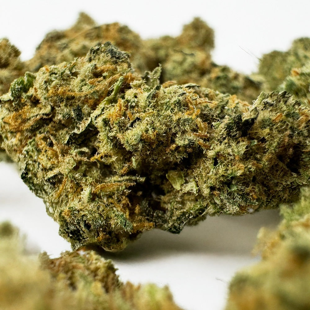 🌿 Fleurs CBD Amnésia Medium Bud