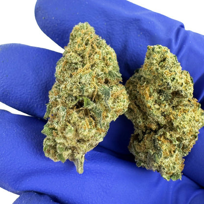 🌿 Fleurs CBD Amnésia Medium Bud