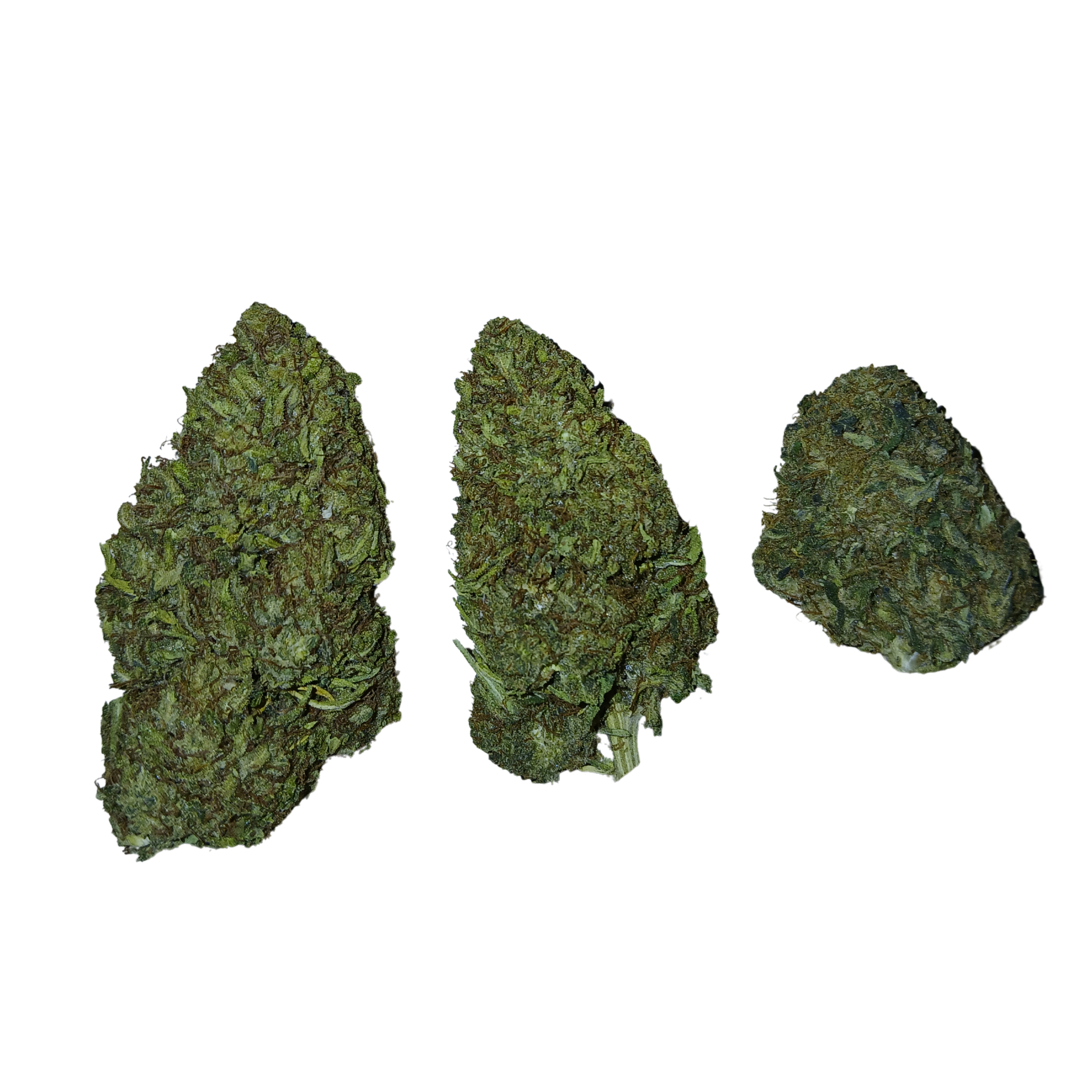 🌿 Fleurs CBD Super Silver Haze