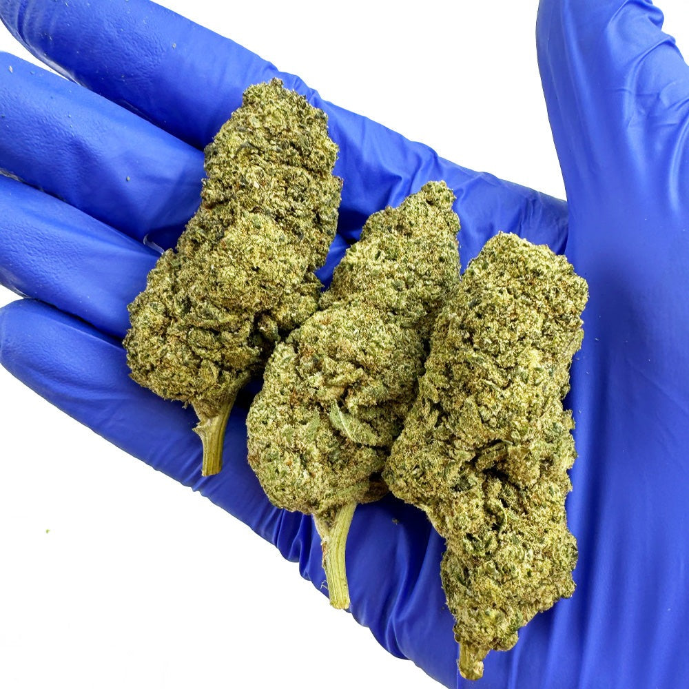 🍓 Fleurs CBD Strawberry Payton USA Premium