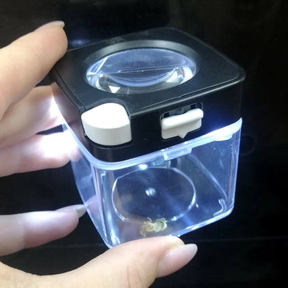 🚀 Comet Smokus Focus – Pot Hermétique avec Loupe &amp; LED