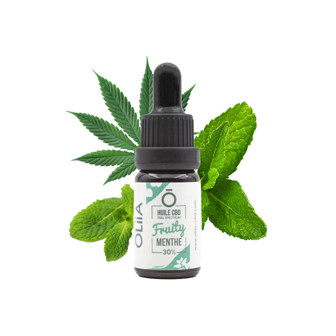🌿 Huile CBD Full Spectrum – Menthe