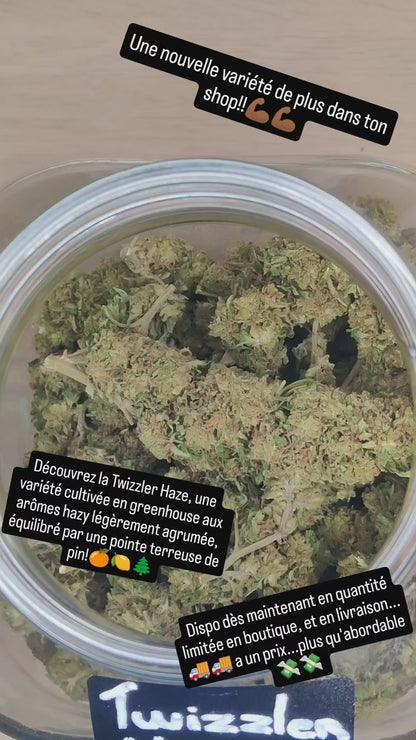 Fleurs CBD Twizzler Haze Greenhouse