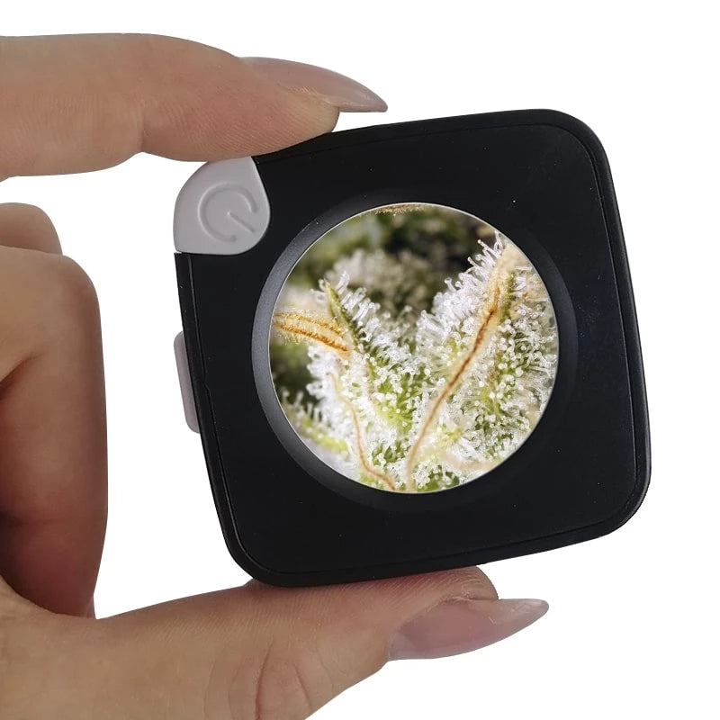 🚀 Comet Smokus Focus – Pot Hermétique avec Loupe &amp; LED